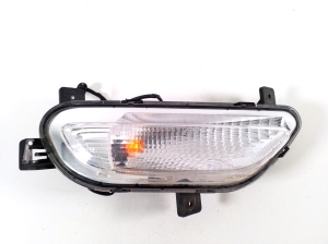 Blinker vorne - 42529921