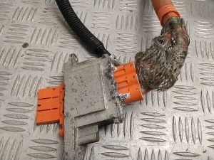 TOYOTA RAV 4 A5 (2019–2026) Other wire 821H42020D - 8