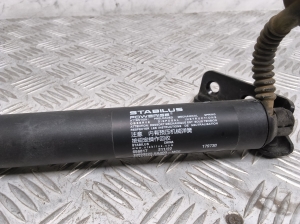MG, Marvel R EV (2021–2026) Heckklappendämpfer 10993225 - 2