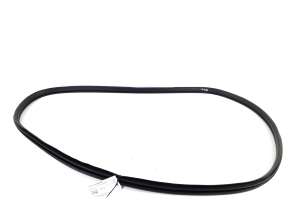   Rear side door seal on the door  - BCJH68913A 