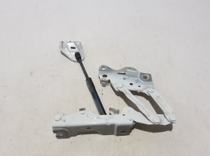 BMW X 7 G07 (2018–2026) Hood hinge 7418202 - 3
