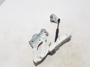 BMW X 7 G07 (2018–2026) Hood hinge 7418201 - 2