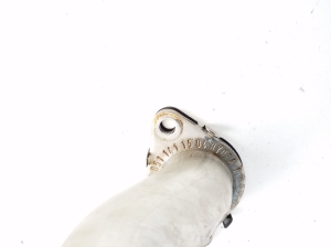   EGR valve pipe  - A6511411504 
