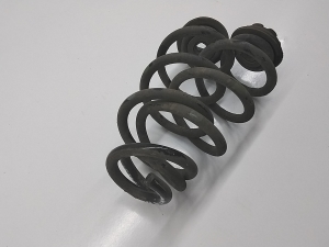 NISSAN X-Trail T32 (2013–2021) Rear spring 550204CE1A - 2