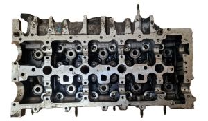 NISSAN Qashqai (2013–2021) Plokikaas 110425271R - 2