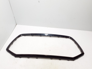 Front grille trim