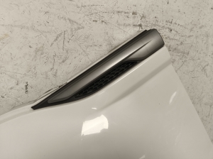 Land Rover Evoque (2011–2018) Front fender BJ3216006AG - 4