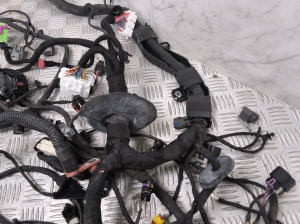 MG, Marvel R EV (2021–2026) Engine wiring harness 11086038 - 2