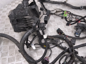 MG, Marvel R EV (2021–2026) Engine wiring harness 11086038 - 6