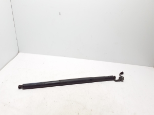 Trunk lid strut - 5A1DEC5