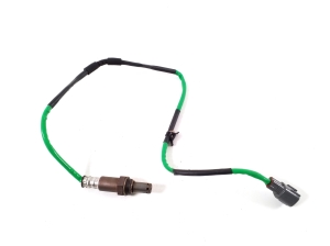   Oxygen sensor (lambda)  - PAF1 