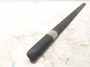 RENAULT Clio III (2005–2012) Front door molding 8200289921 - 2