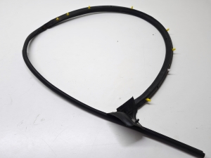 Front door rubber seal - 9831500880