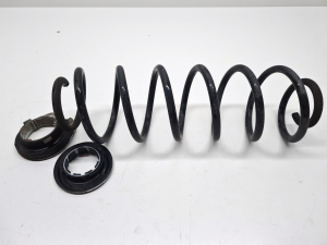 Rear spring