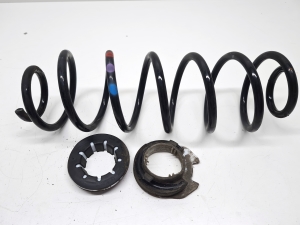 Rear spring