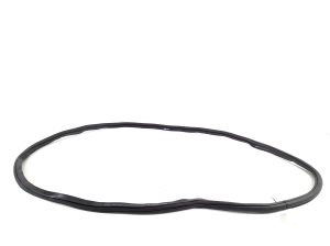  Rear side door seal on the door  - 11A867914B 