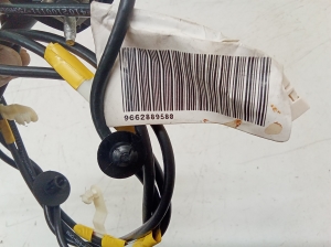 Citroen Berlingo (2008–2018) Antenne 9662889580 - 2
