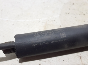 Ford Mustang Mach-E Mach-E (2020–2026) Trunk lid strut LJ8BR402A55AB - 2