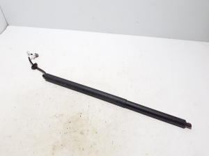 Ford Mustang Mach-E Mach-E (2020–2026) Trunk lid strut LJ8BR402A55AB - 3