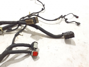 Ford Mustang Mach-E Mach-E (2020–2026) Engine wiring harness LJ8T14B599NAC - 3