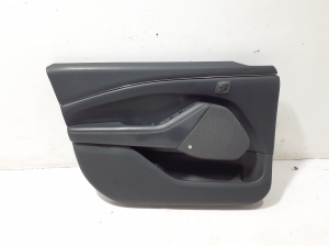 Front door panel - LJ8Z5823943CB