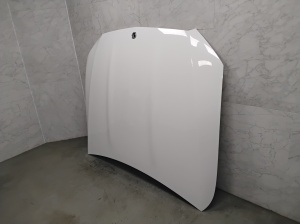 Capot - A2138870203