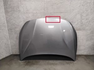 VOLVO V60 (2010–2018) Motorhaube 31352823 - 9