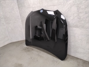 Motorhaube - 