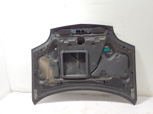 NISSAN X-Trail T30 (2001–2007) Motorhaube F5100EQ0MM - 3