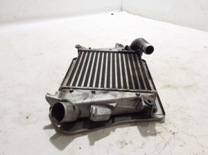 NISSAN X-Trail T30 (2001–2007) Vahejahuti radiaator 14461EQ400 - 4