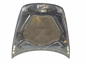 Porsche Panamera 971 (2016–2026) Hood 971823031BY - 3