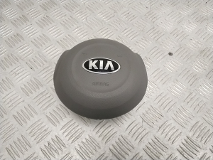 Steering wheel airbag - 56900E4000