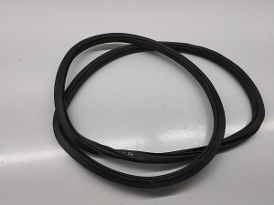   Rear side door seal on the door  - 10A867913 