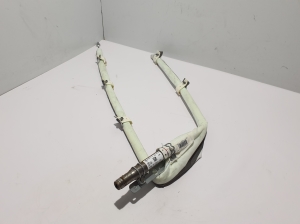 Roof airbag - 7352601