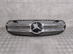 Front grille - A2538800002