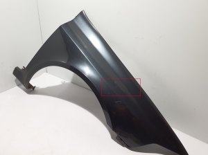 RENAULT Laguna II (2001–2007) Front fender 8200129521 - 5