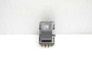 Rear side door window switch - 254010003R