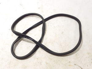 Hyundai IONIQ 5 I (2021–2026) Front door rubber seal 82120GI000 - 2