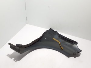 RENAULT Twingo II (2007–2014) Vorderer Kotflügel 8200588323 - 2