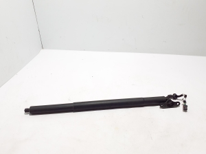   Trunk lid strut  - 83F827851B 