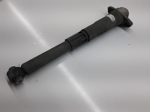   Stoßdämpfer hinten  - 1EA513423F 