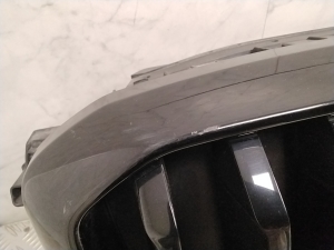 BMW X3 G01 (2017–2026) Kühlergrill 5A1DA4809 - 5