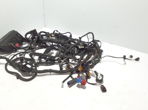 AUDI RS Q3 F3 (2019–2026) Kabelbaum 83B971072 - 4