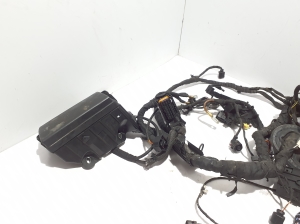 AUDI RS Q3 F3 (2019–2026) Kabelbaum 83B971072 - 5