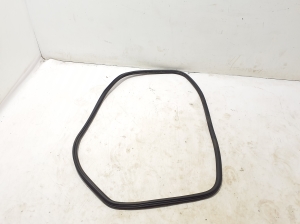 Rear side door seal on the door - 83F833721A