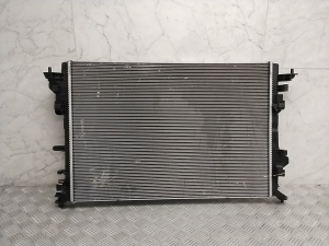 Jahutusradiaator - 214103843R