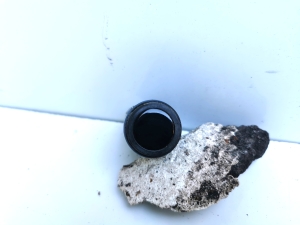 Parksensor hinten - 0015425918