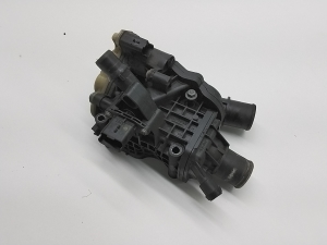 Ford Mondeo V (2014–2018) Termostaat ja selle komponendid 9804160380 - 6