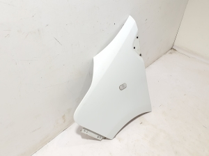 RENAULT Trafic III (2014–2022) Front fender 631016242R - 2