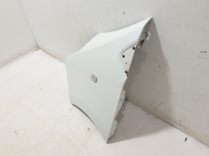 RENAULT Trafic III (2014–2022) Front fender 631016242R - 4
